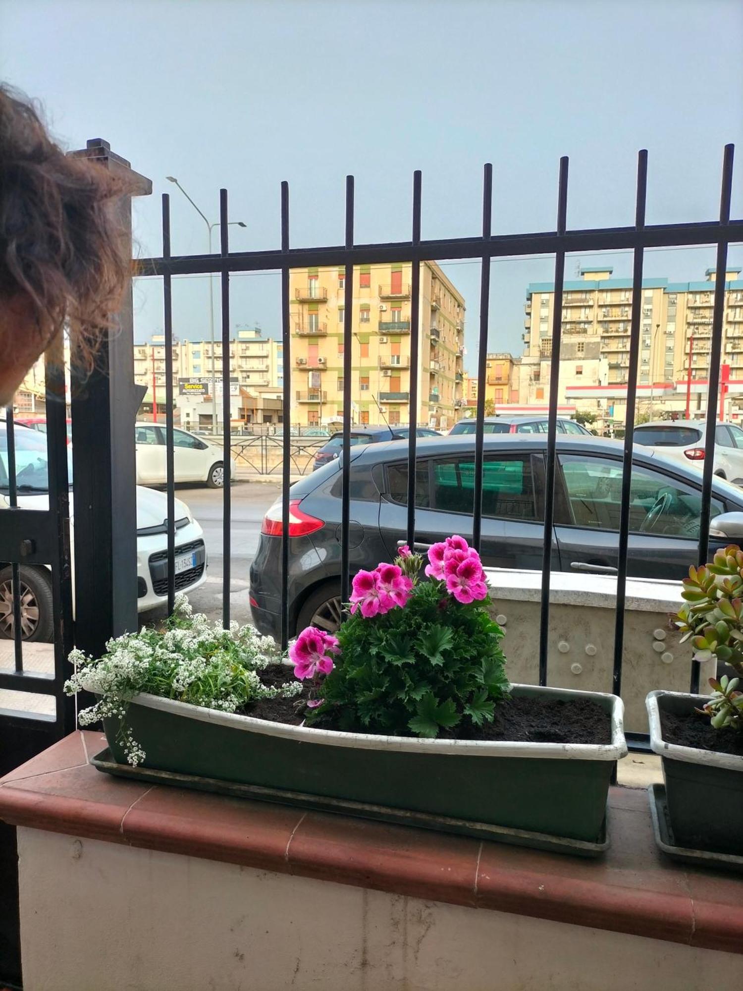 Ciuridda Mia Apartment Palermo