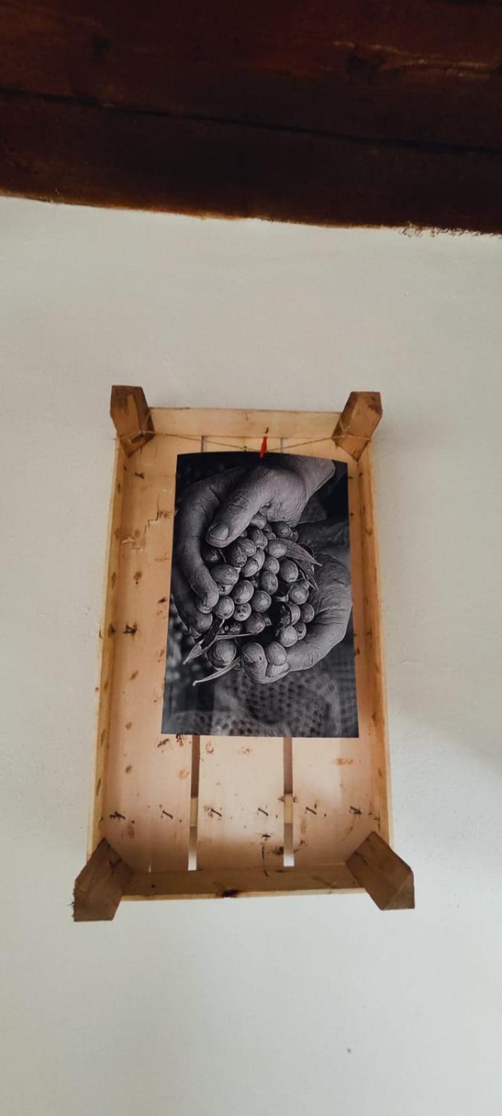 Fiori D'ulivo Palermo