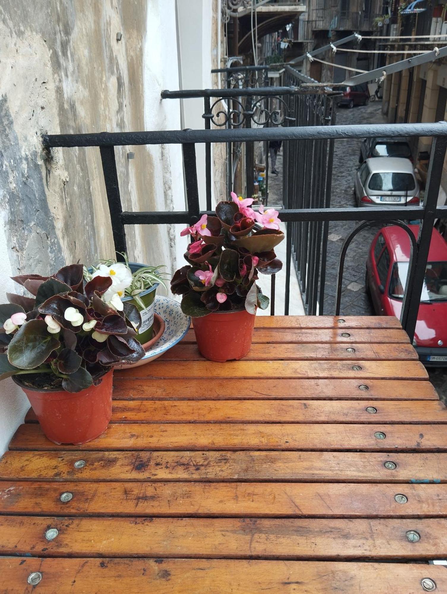 Le Due Marie Appartamento Palermo