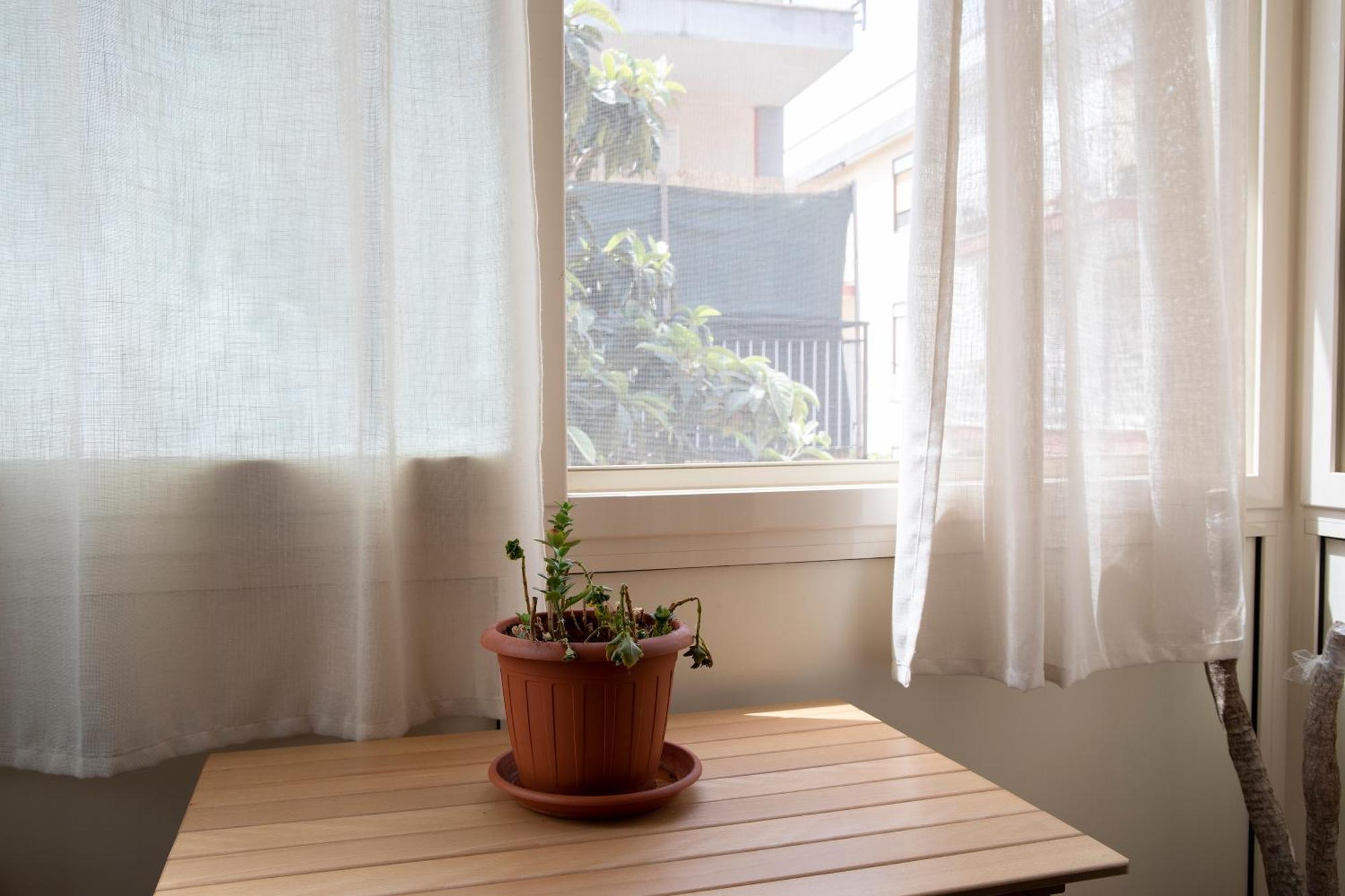 Apartment I Girasoli *