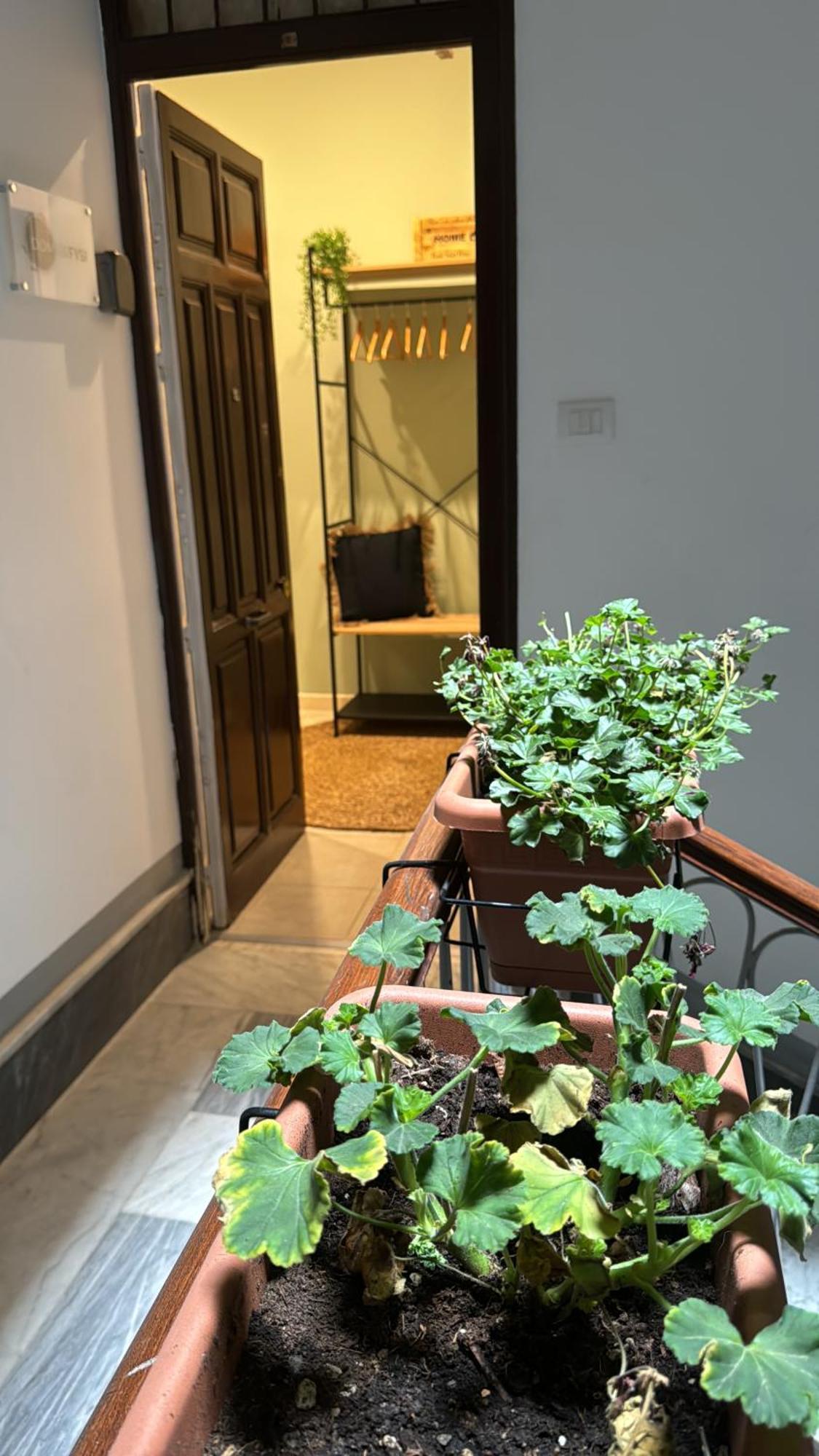 Domus Fysi Guest house *