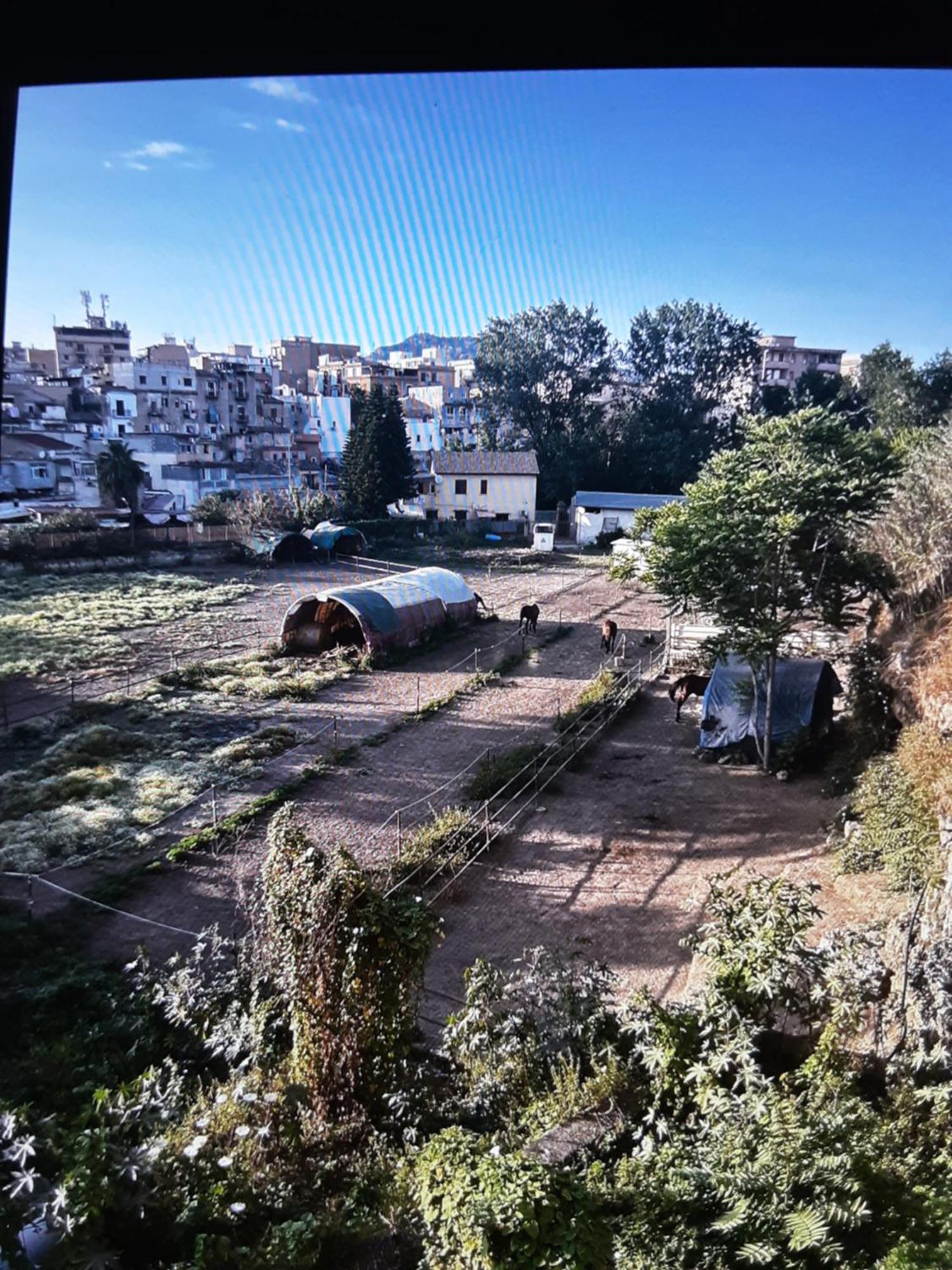 Apartamento Al Baglio Da Vice Palermo