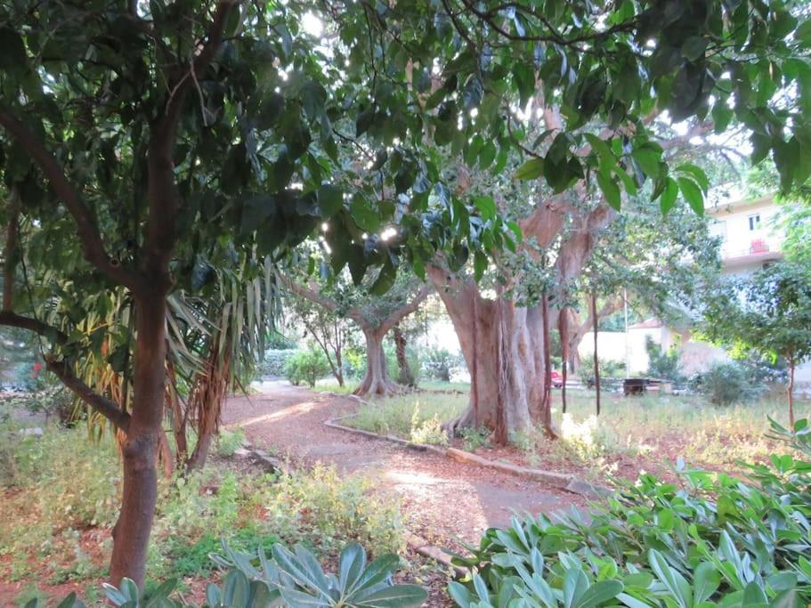 Appartamento Relax Nel Verde- Giodapi Palm