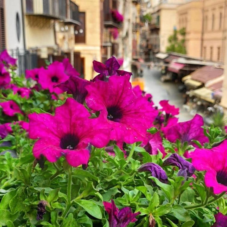 Il Rosone Luxury Bed & Breakfast