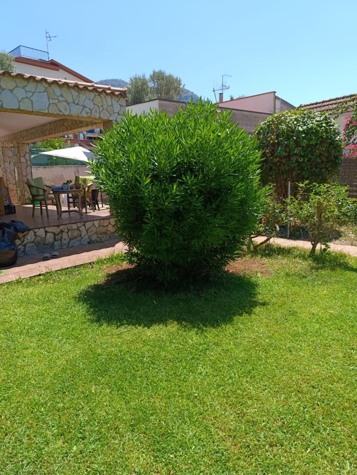 Garden House Mondello