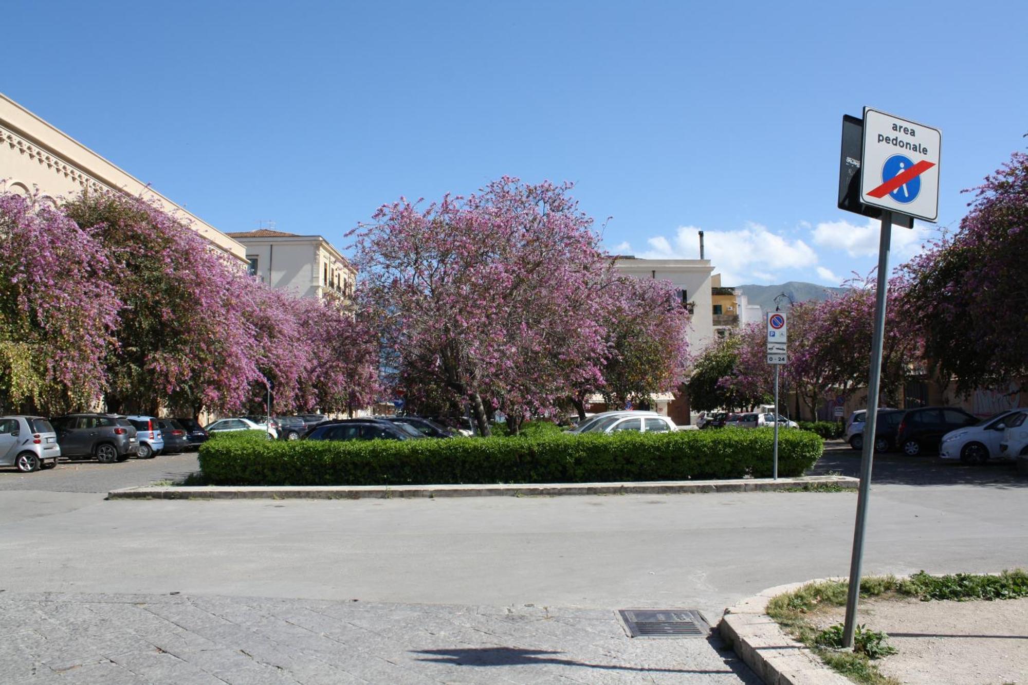 Cale Apartment Palermo
