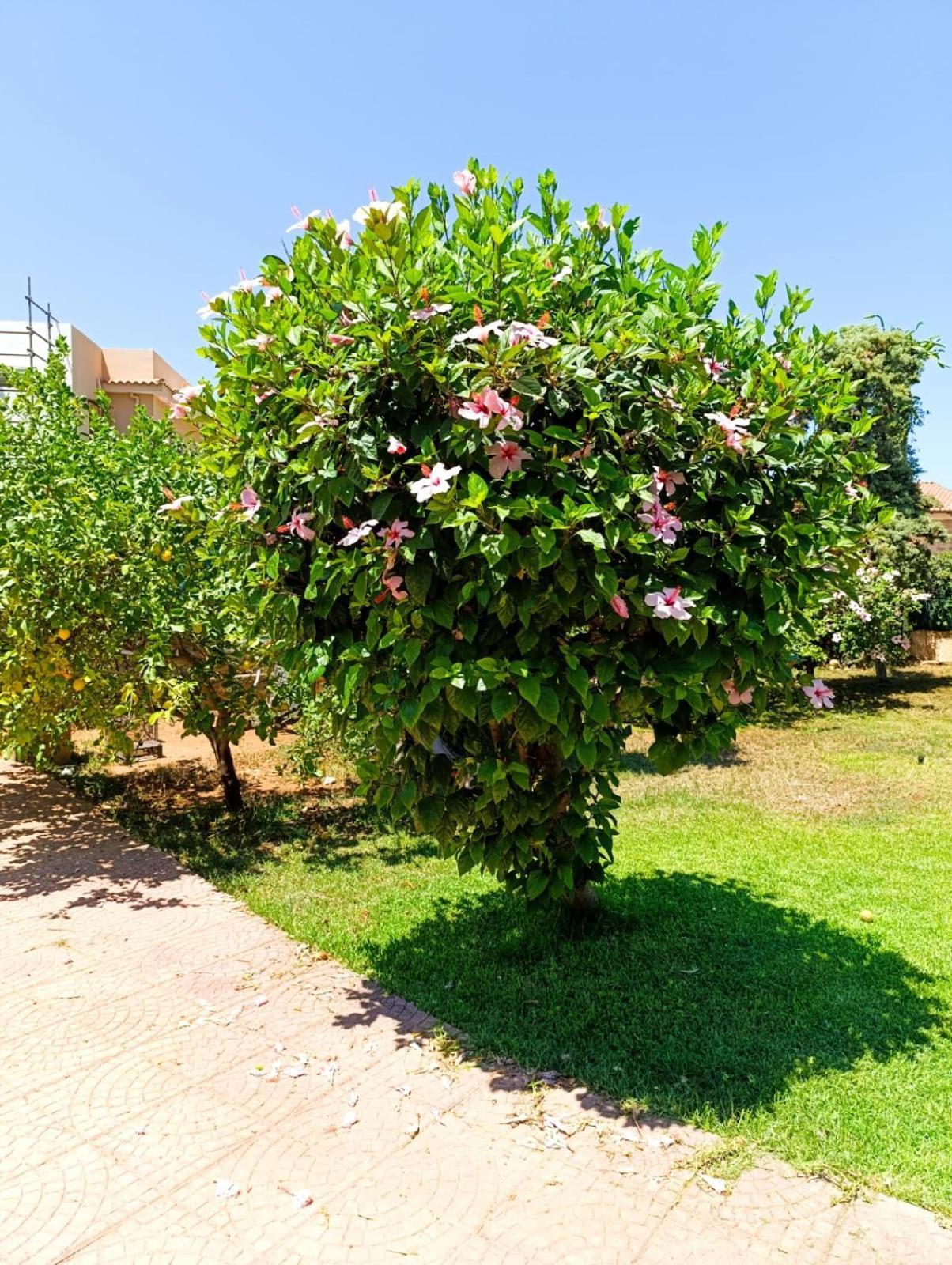 Casa In Giardino A Pochi Passi Dal Mare Casa de férias Palermo