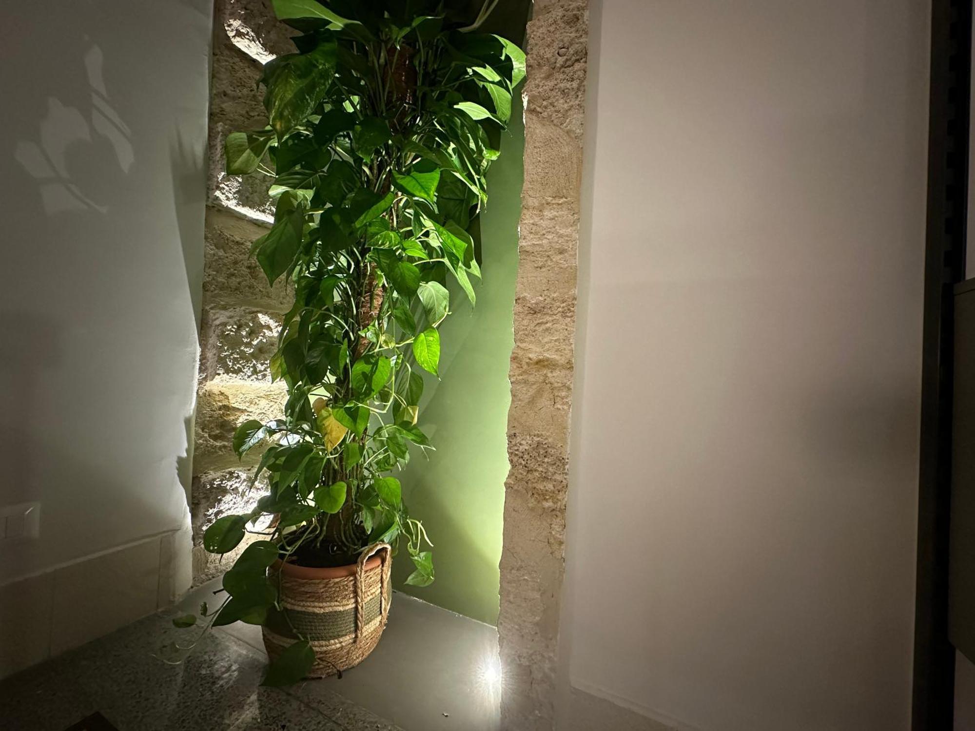 Zahir Apartment