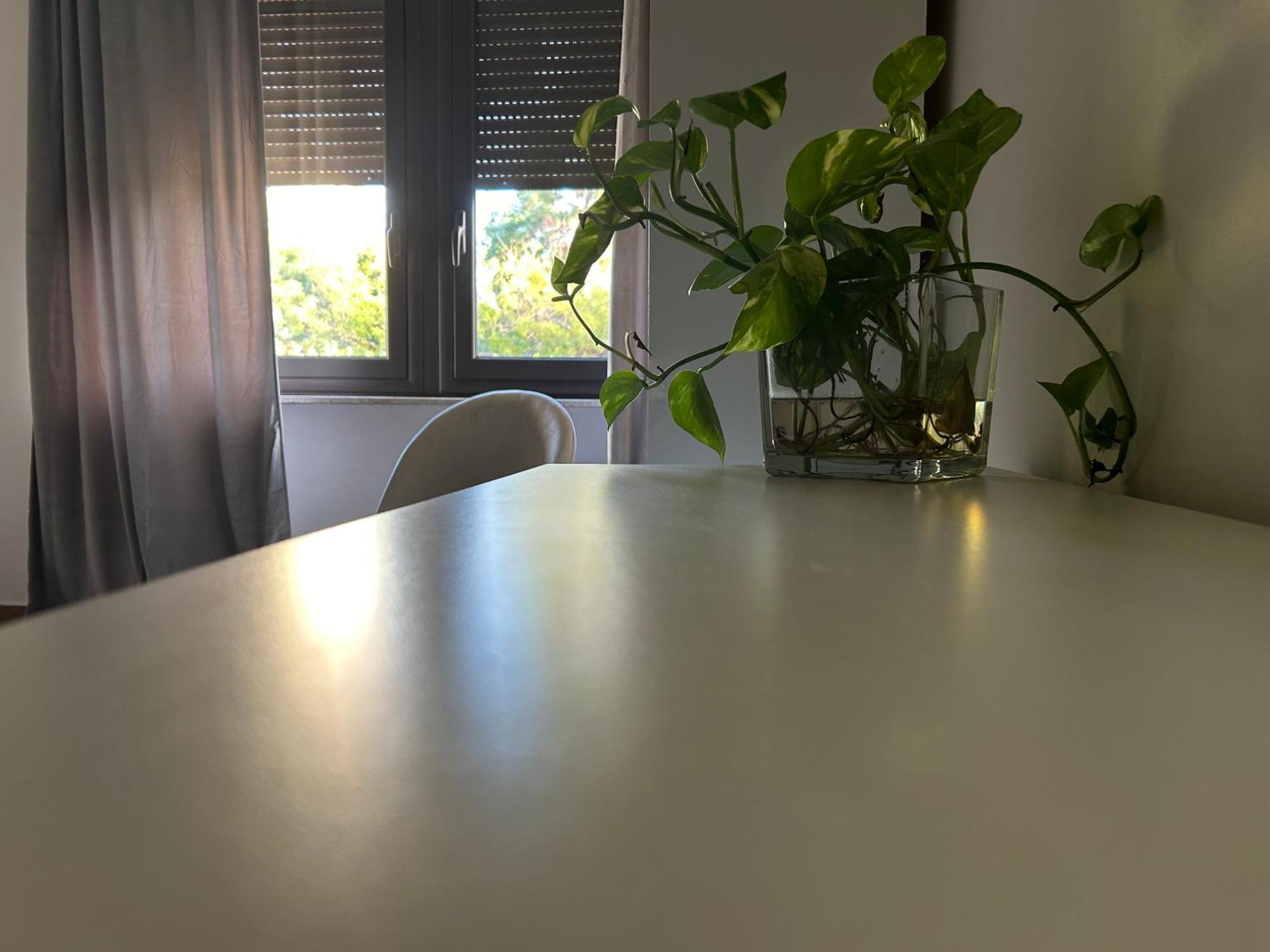 Apartment Francys Dreams *