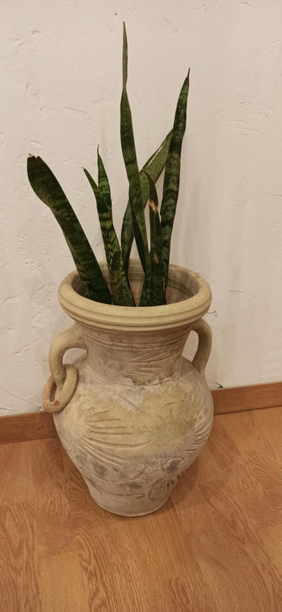 New