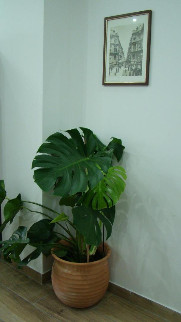 A Me Casa Apartment