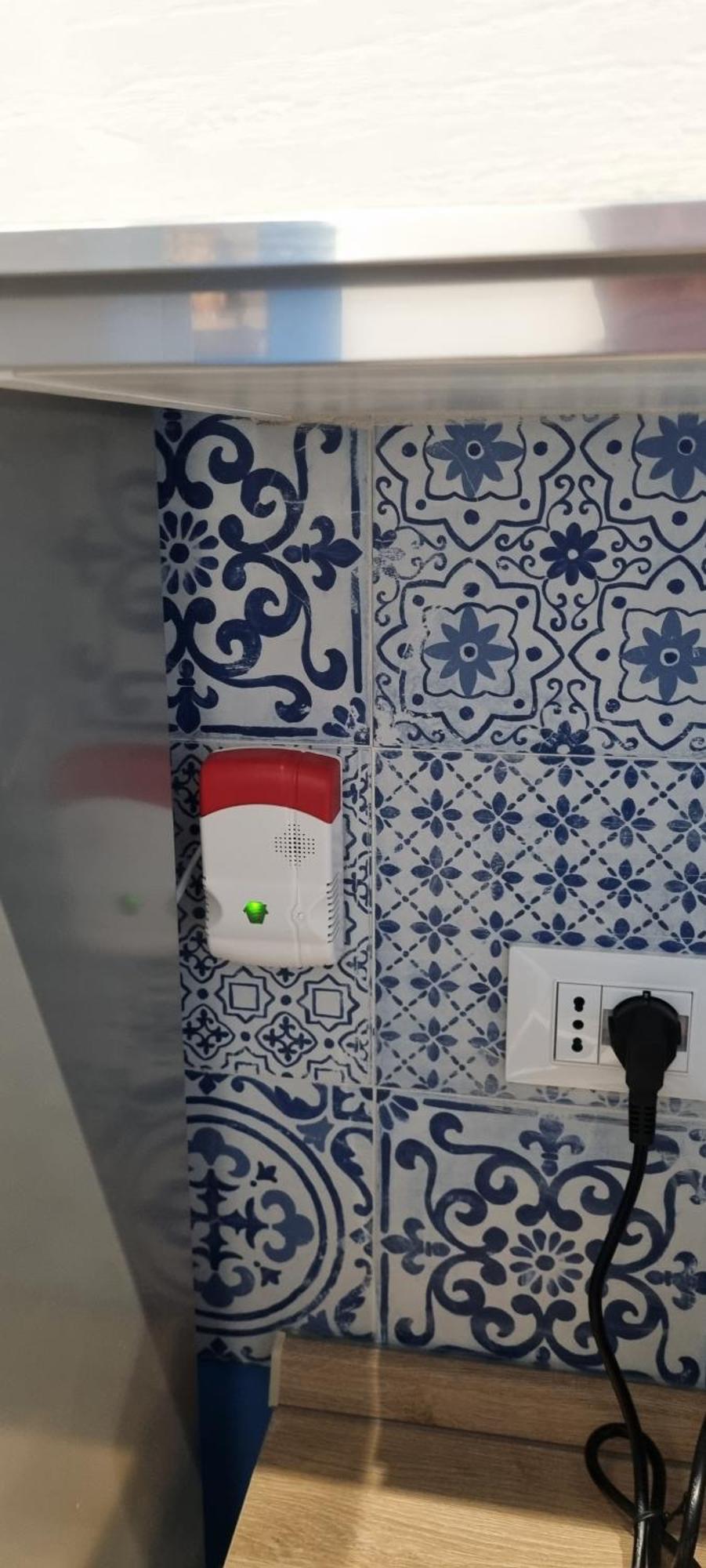 Domus Serradifalco Apartment Palermo