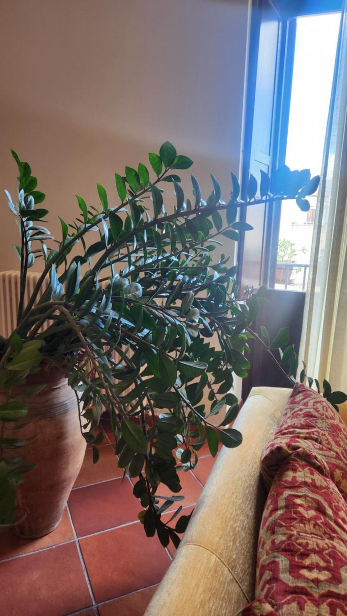 Apartment Note Di Loft Palermo