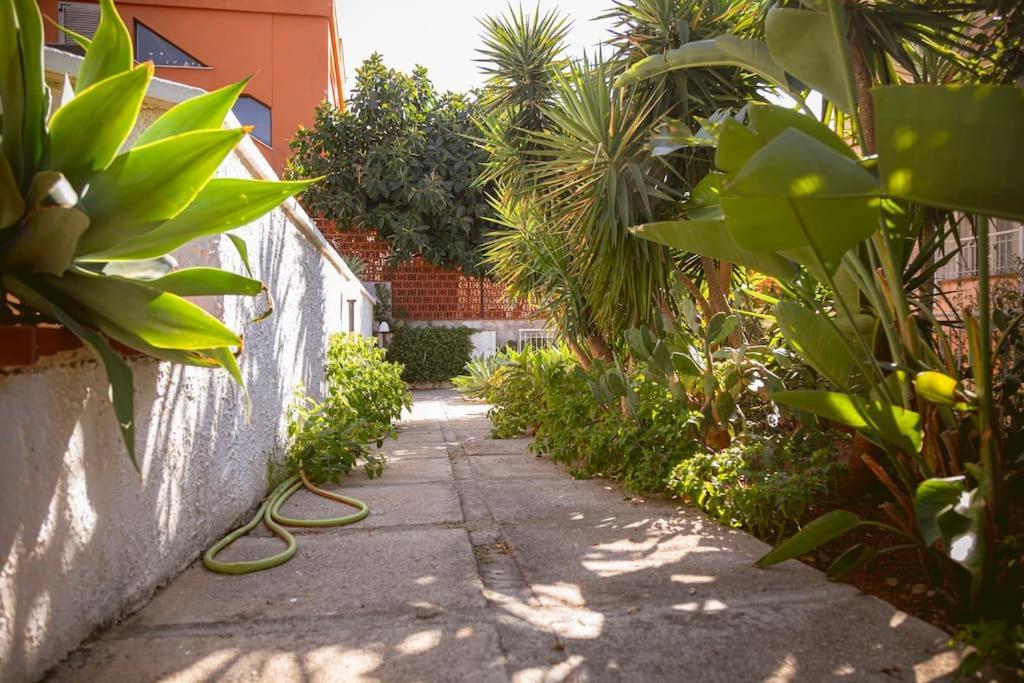 Sunseason - Sferracavallo Penthouse *