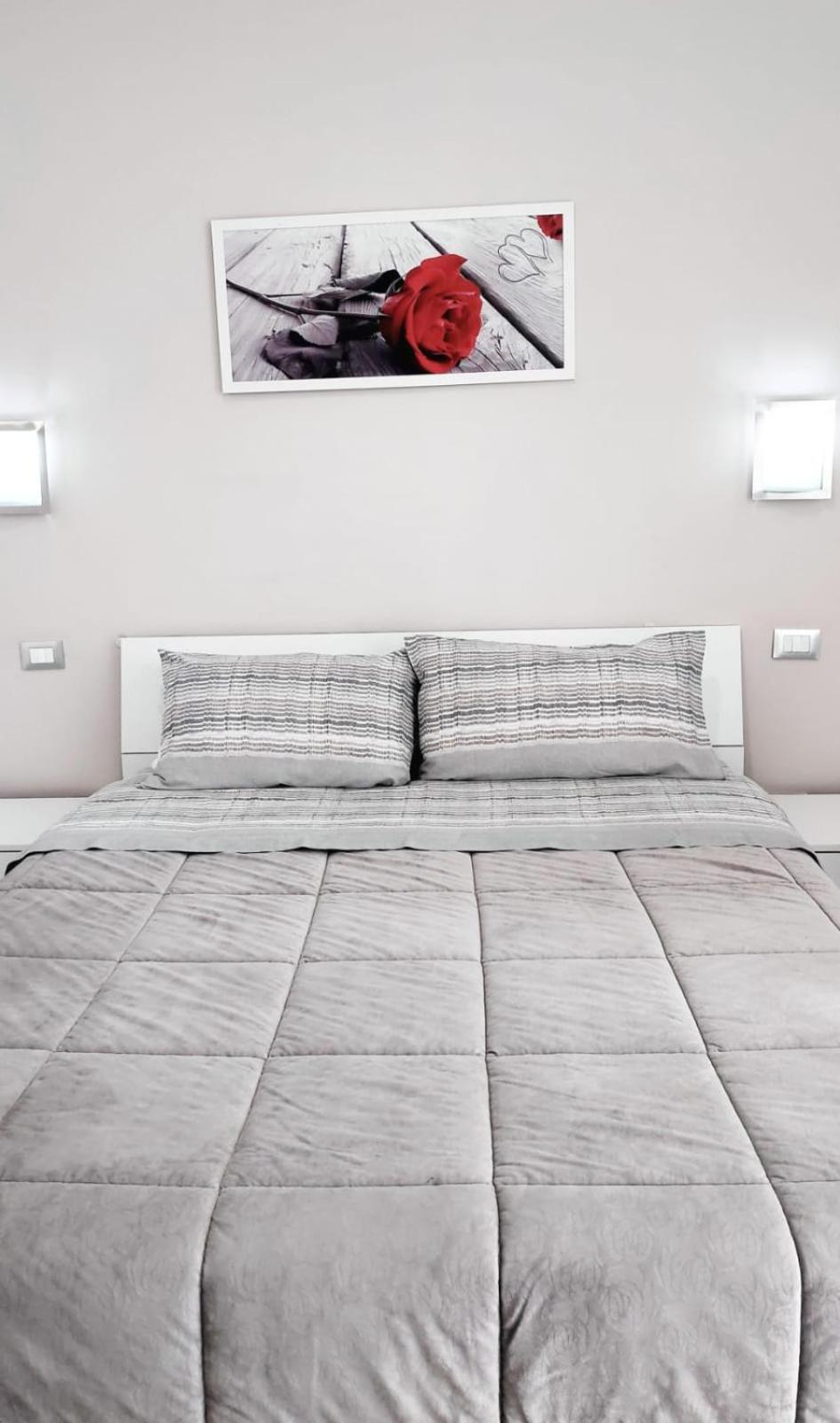 Tourist House Guest house