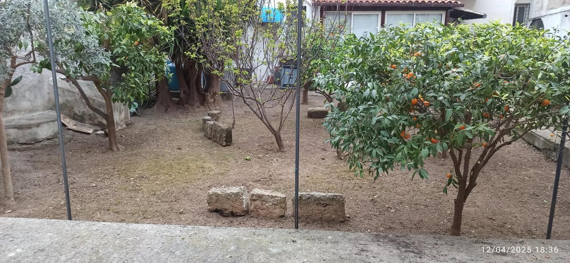 Jujube Hortus 4 Palermo