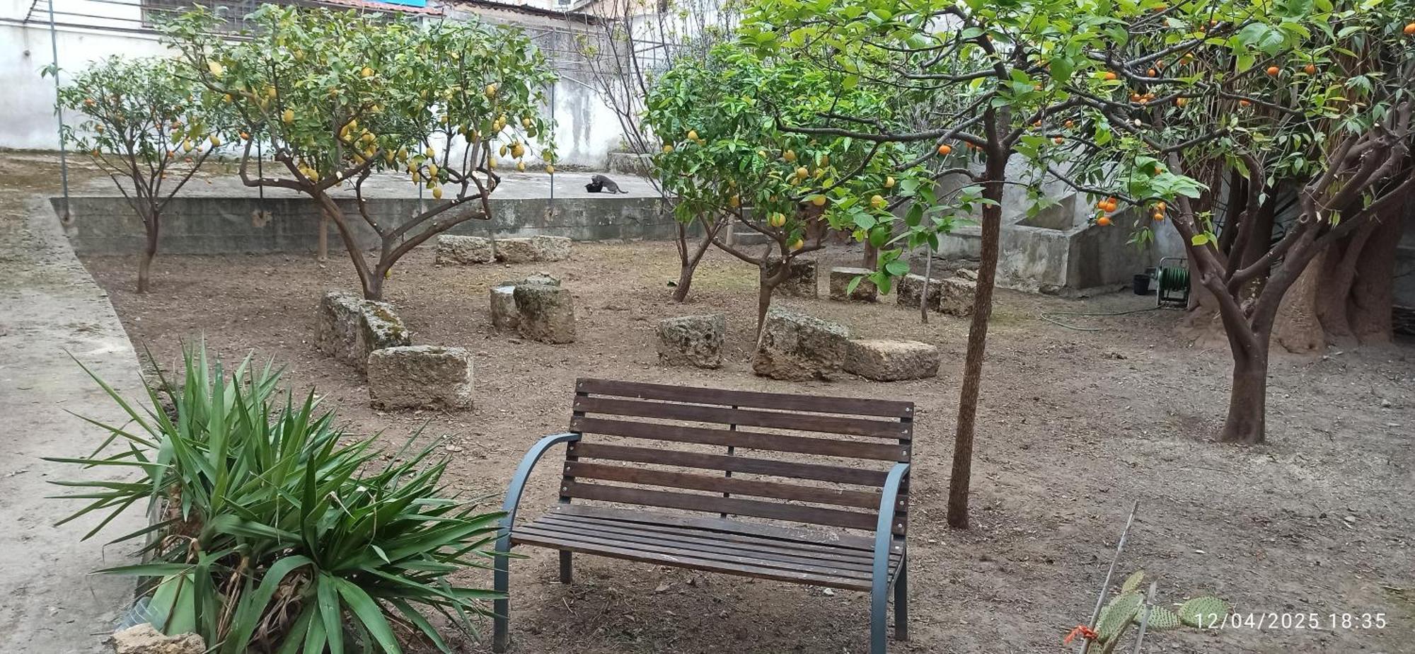 Apartment Jujube Hortus 4