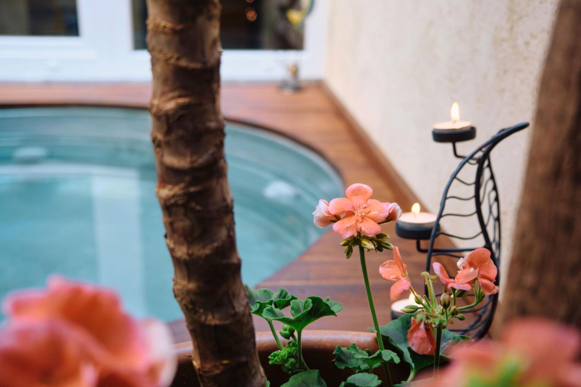 61, Urban Oasis With Mini Pool And Courtyard Apartment Palermo
