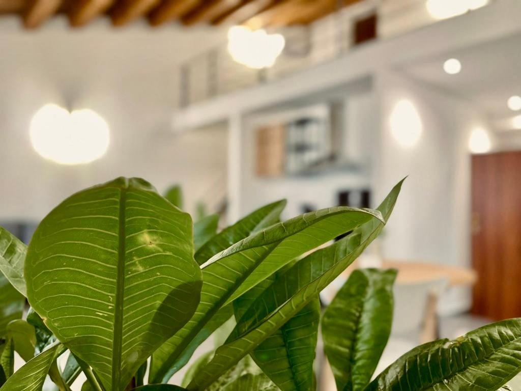 Appartamento Residenza Ximenes