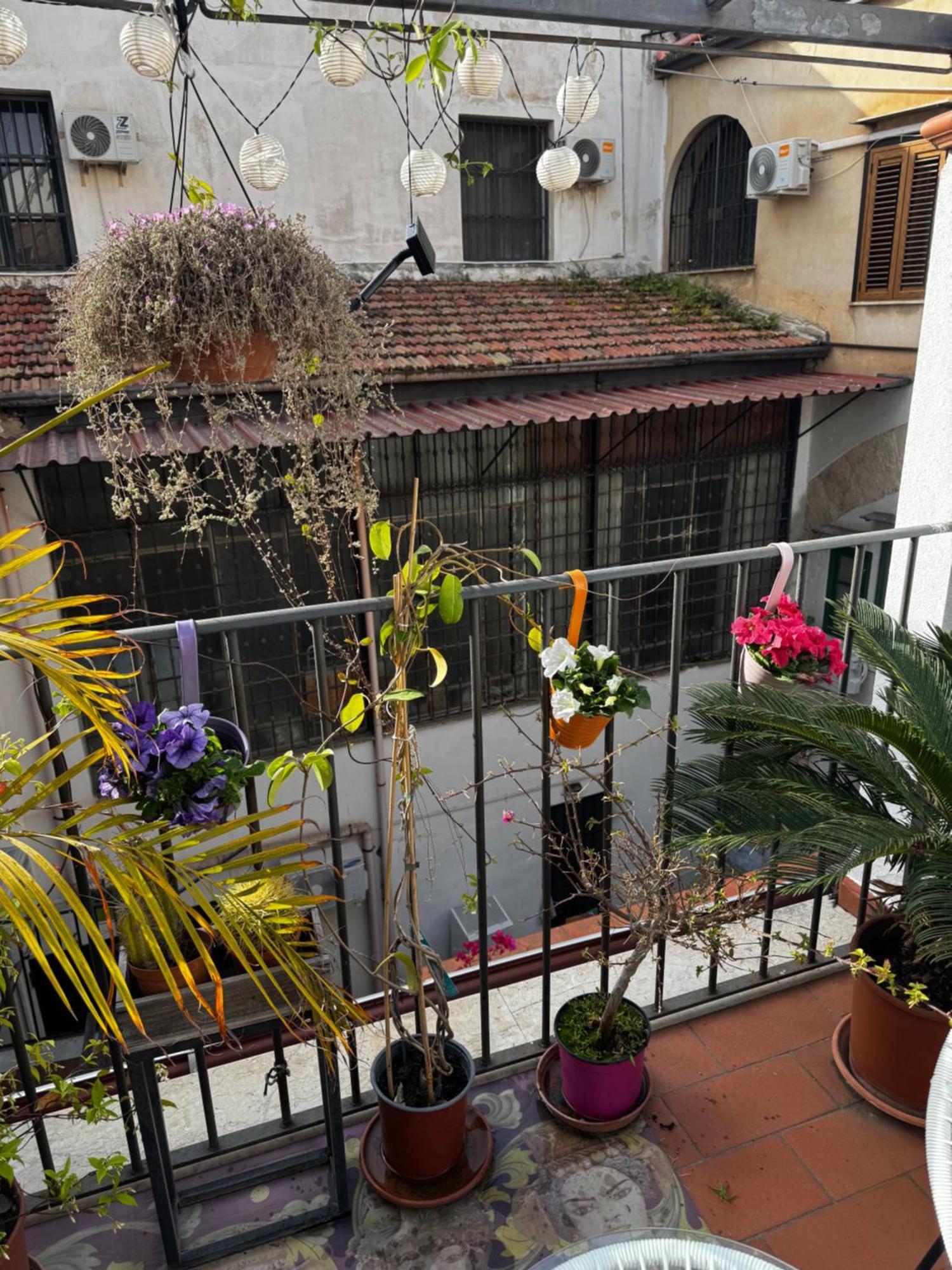 Mau House 44 * Palermo