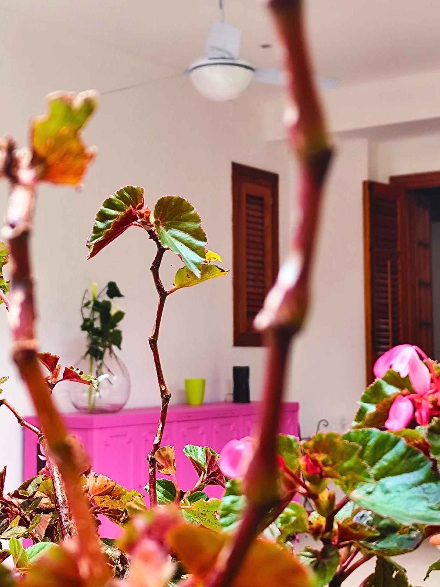 A Casa Da Mammi * Palermo