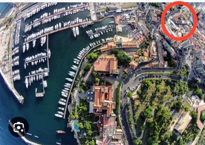 Tiny Di Carlo