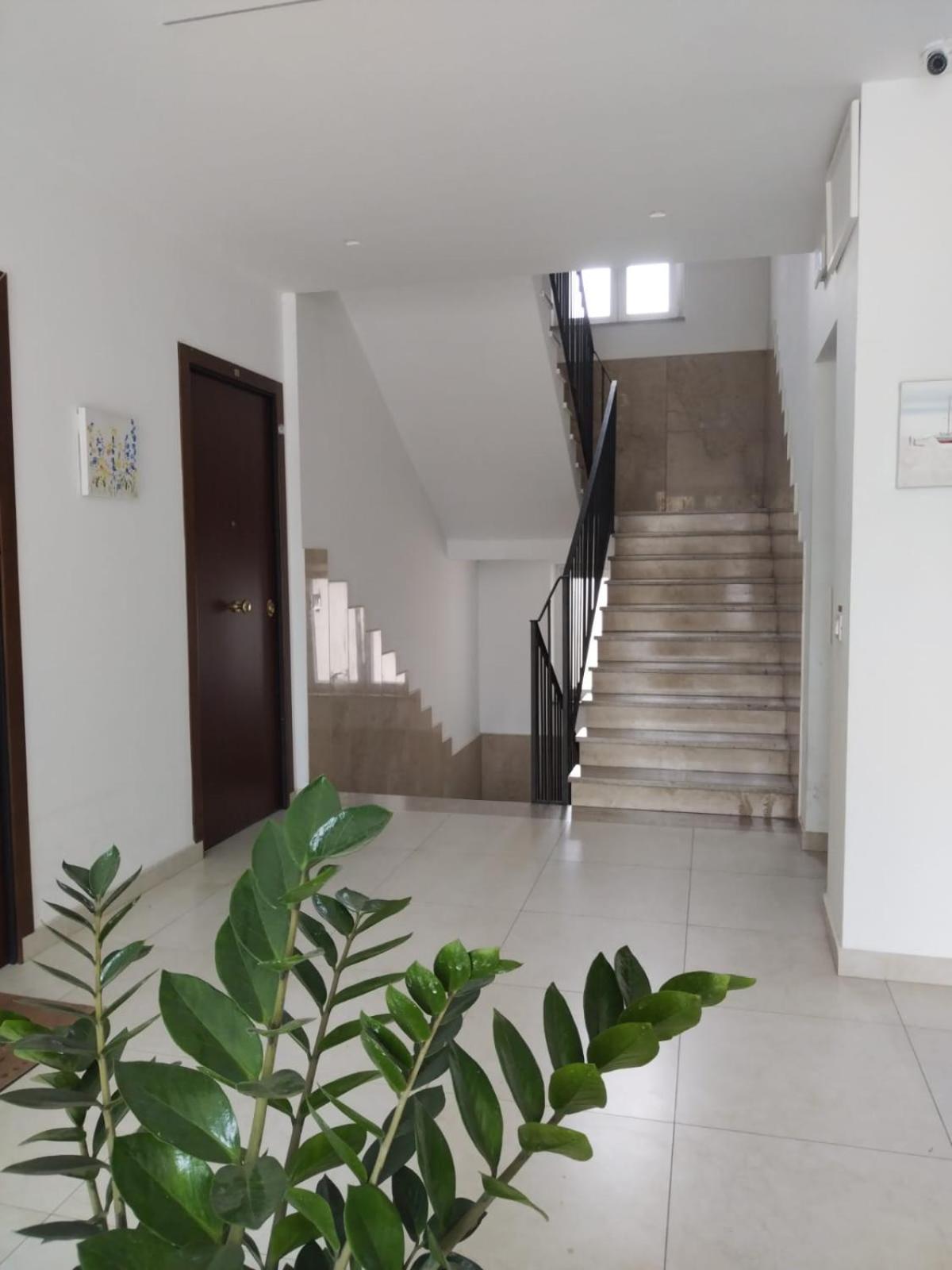 Apartment Tiny Di Carlo Palermo