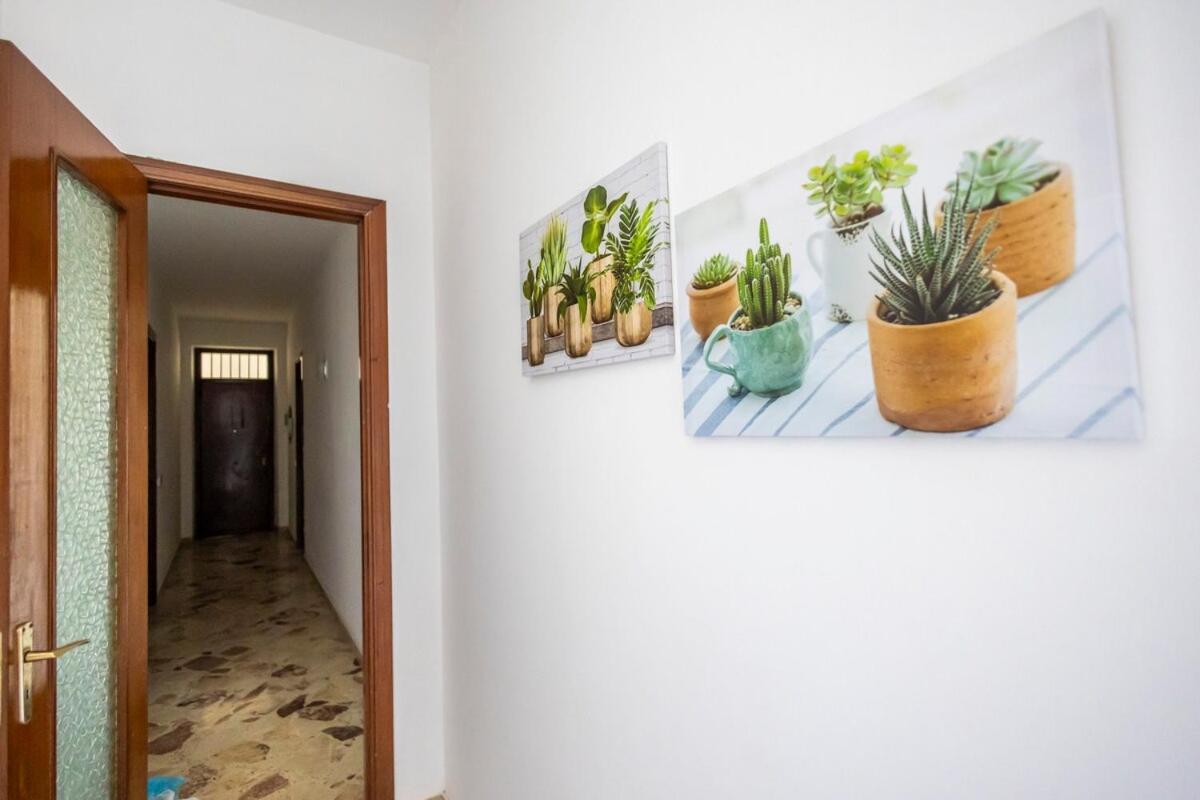 Appartamento Casa Cloe Mondello *