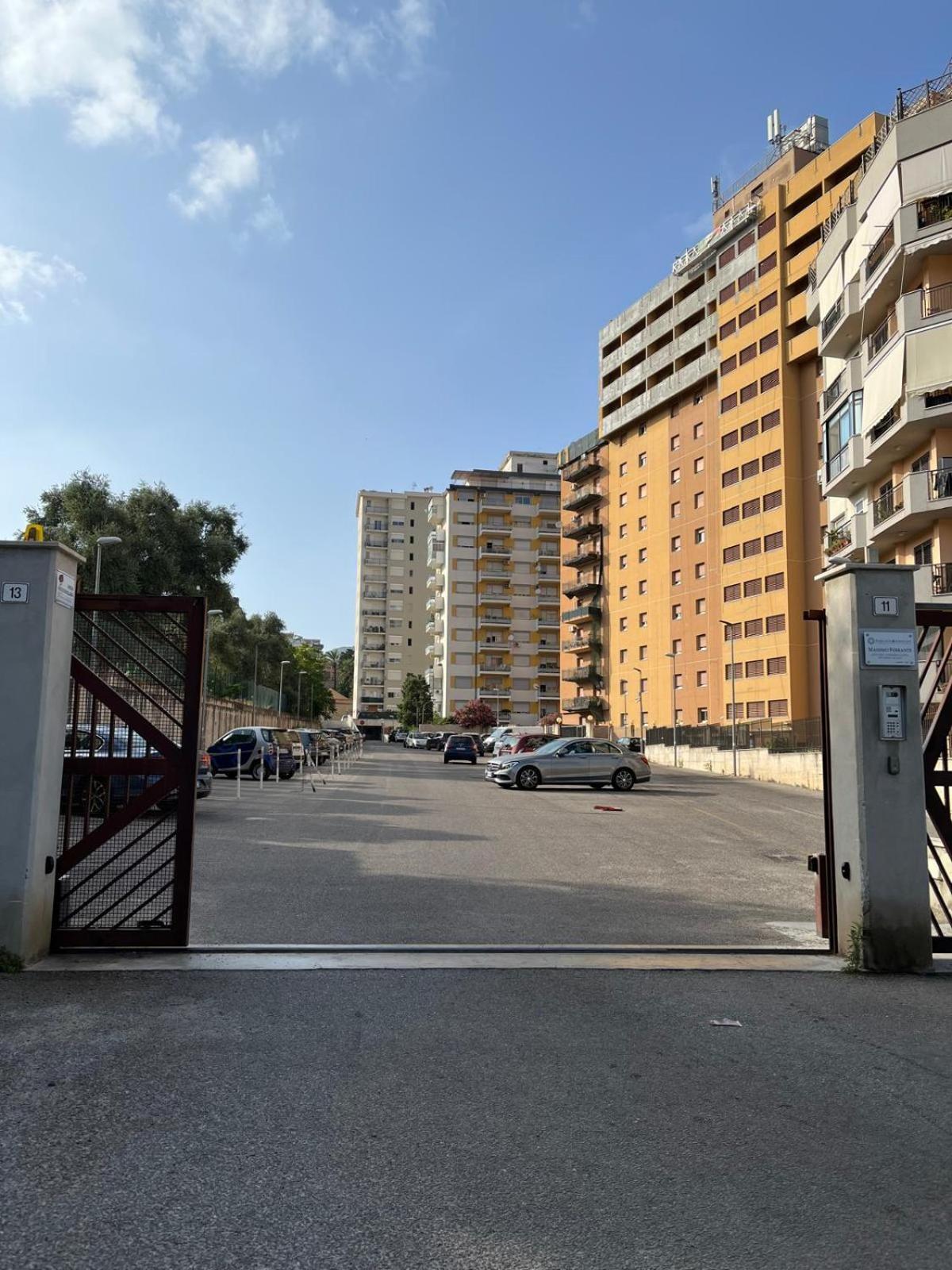 Petrocelli 364 * Palermo
