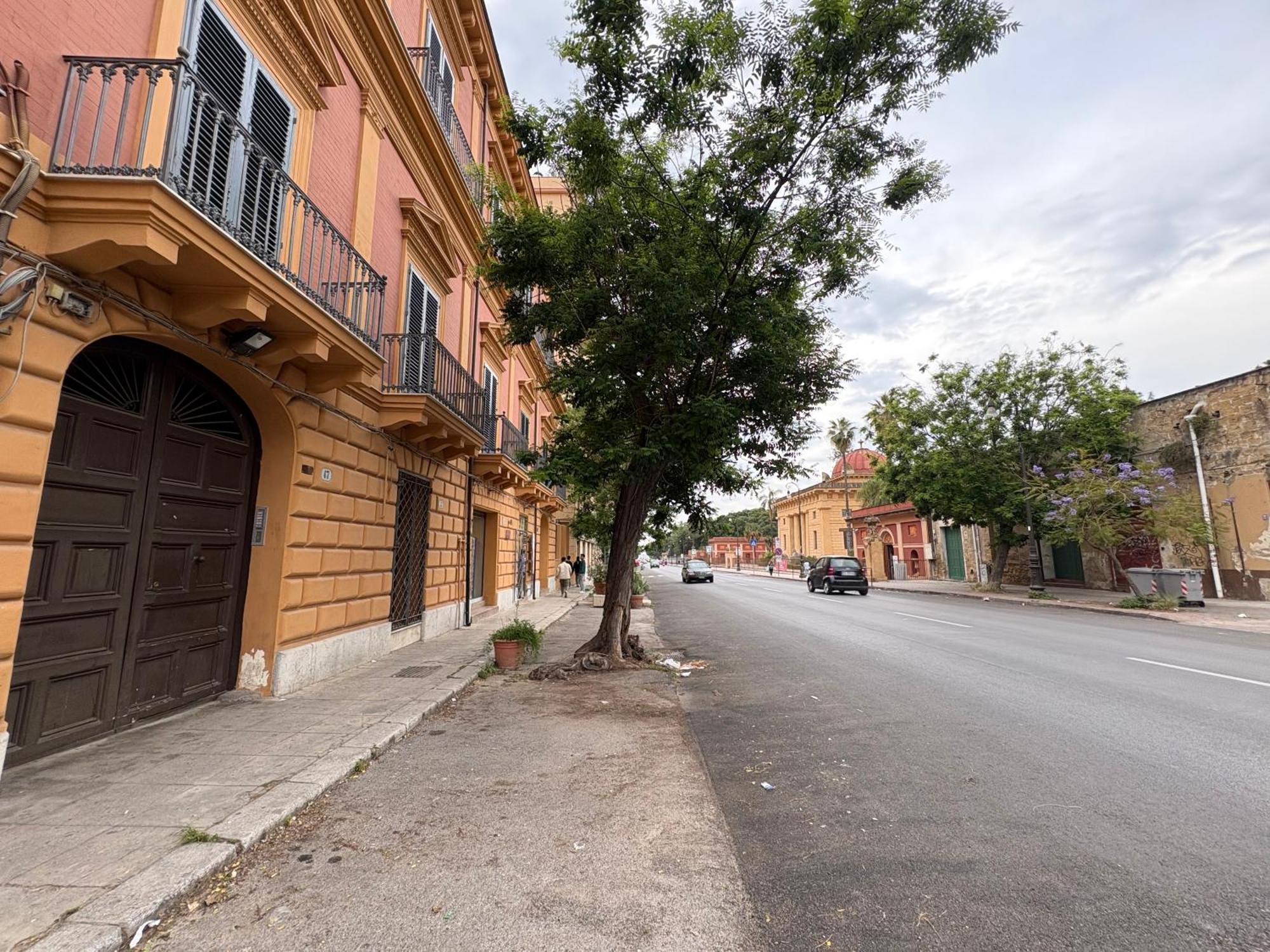 47 Lincoln Street * Palermo