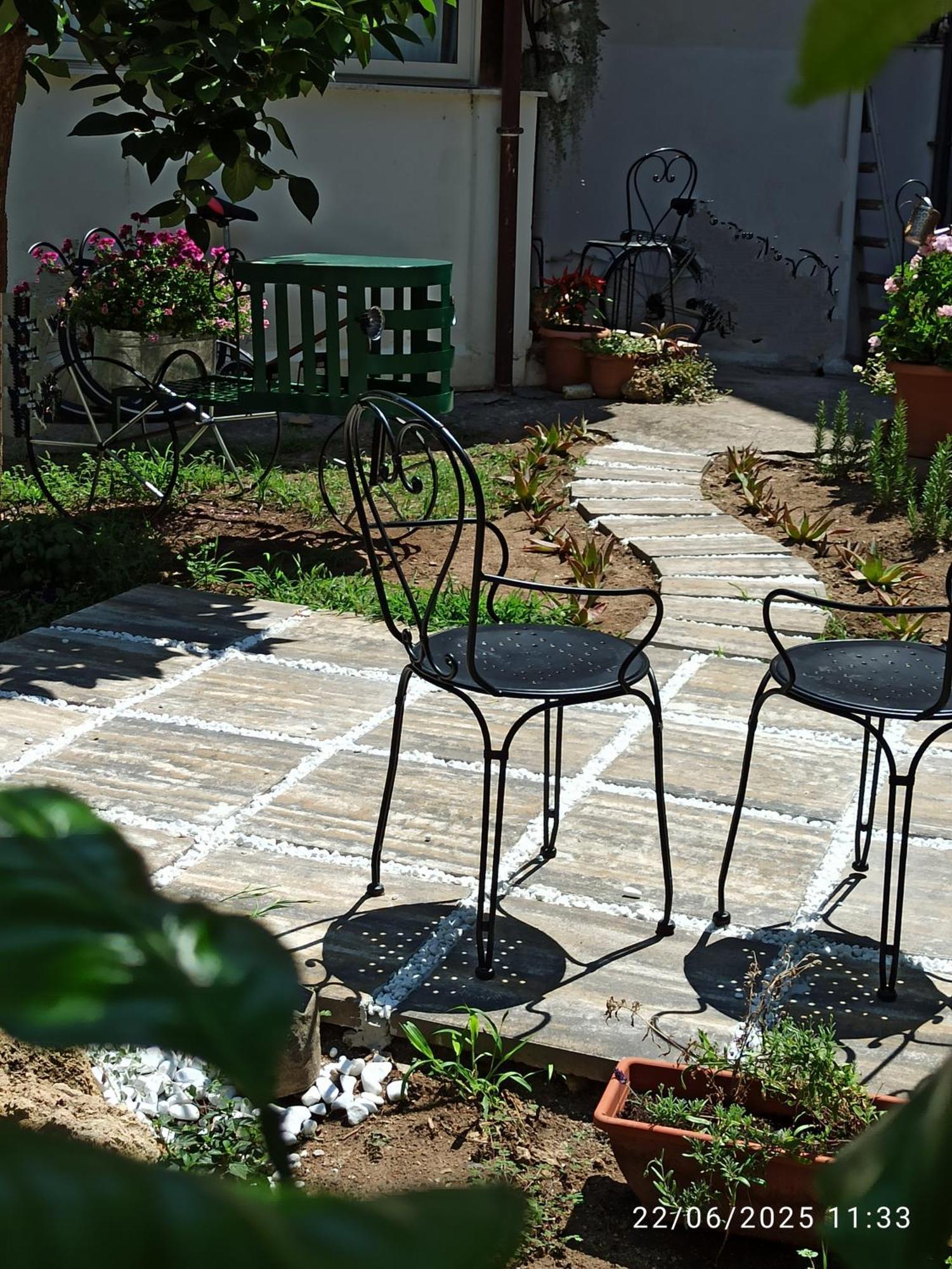 Jujube Hortus 4 *