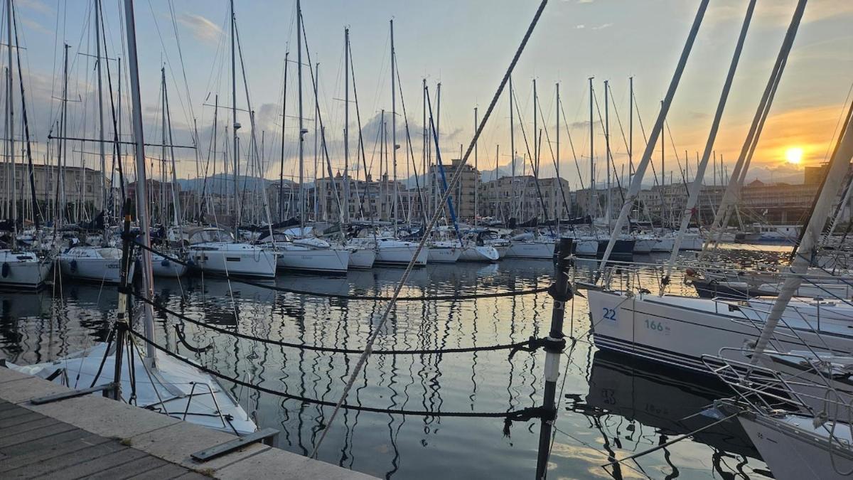 Barbaro * Palermo