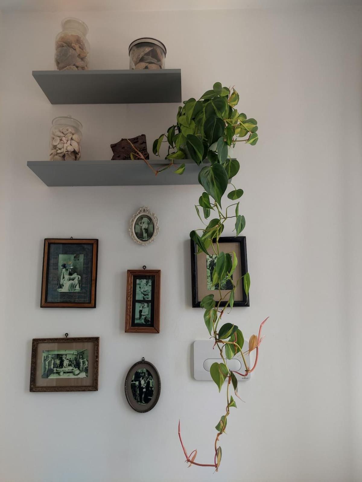 Apartment Lo Xeri *