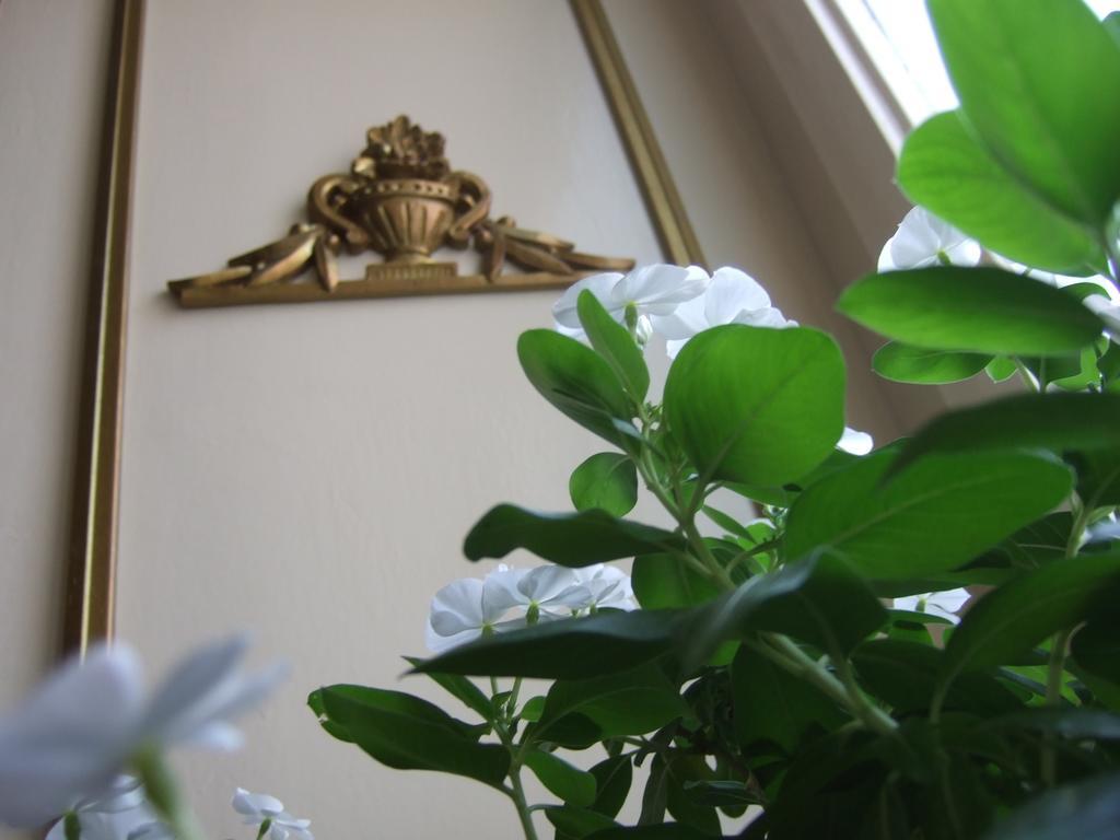 Hotel Alessandra 2*