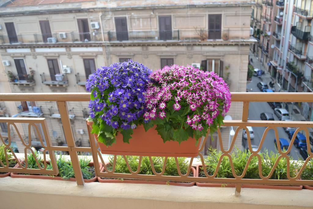 Apartment Zisa *