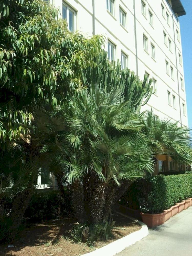 Hotel Cit Dea 4*