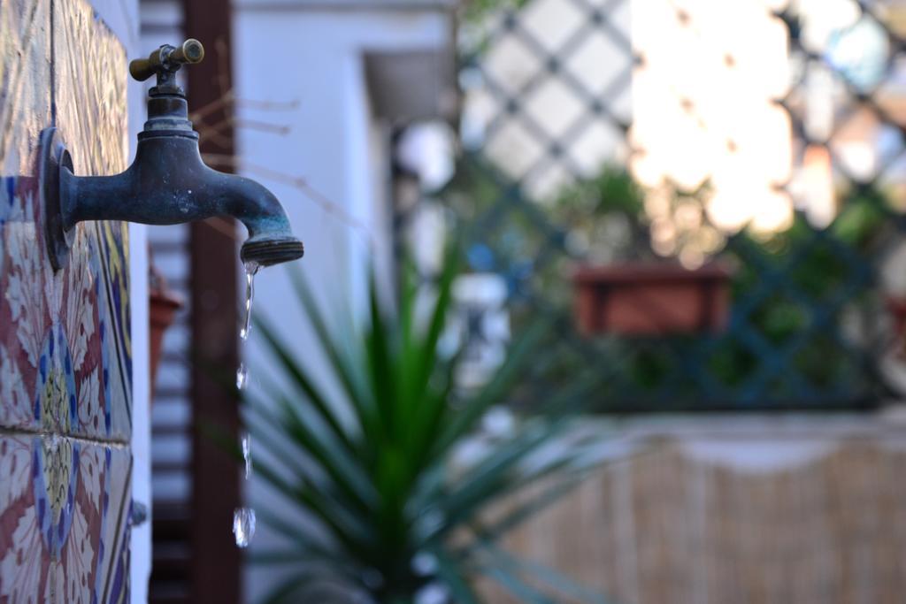 Guest house Il Lapino