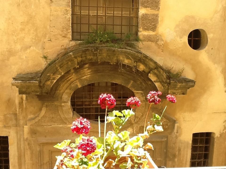 At Kalsa Quiet Flowered Terrace! Free Parking! Ideal For Remote Working! Apartment *