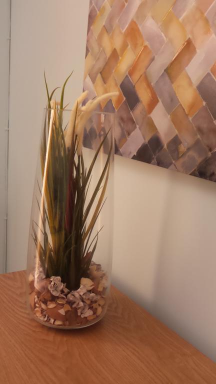 Bb4u And Terrace Apartment