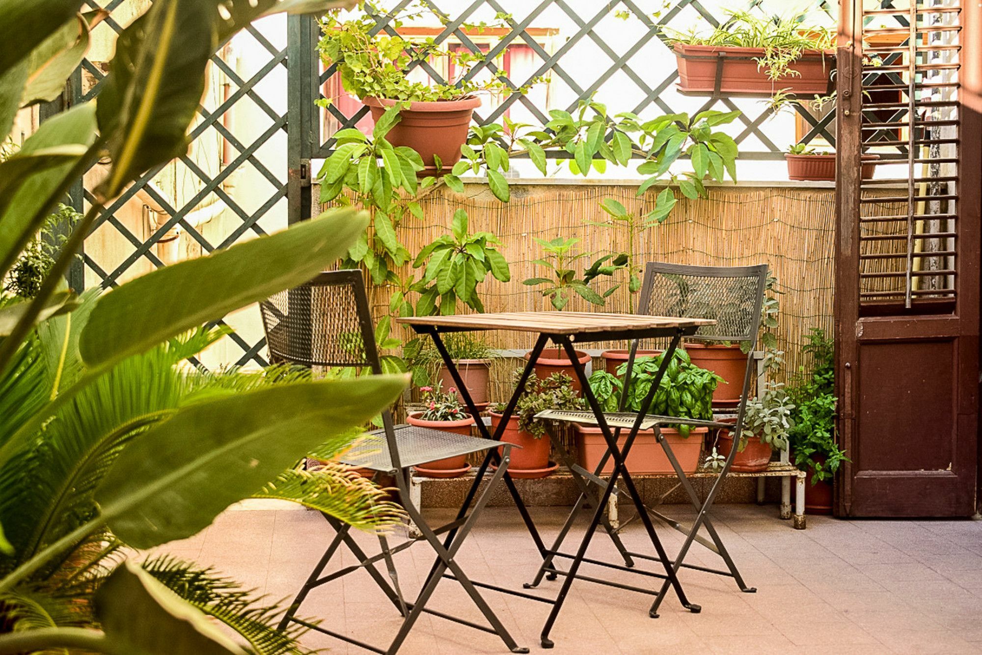 Il Lapino Guest house