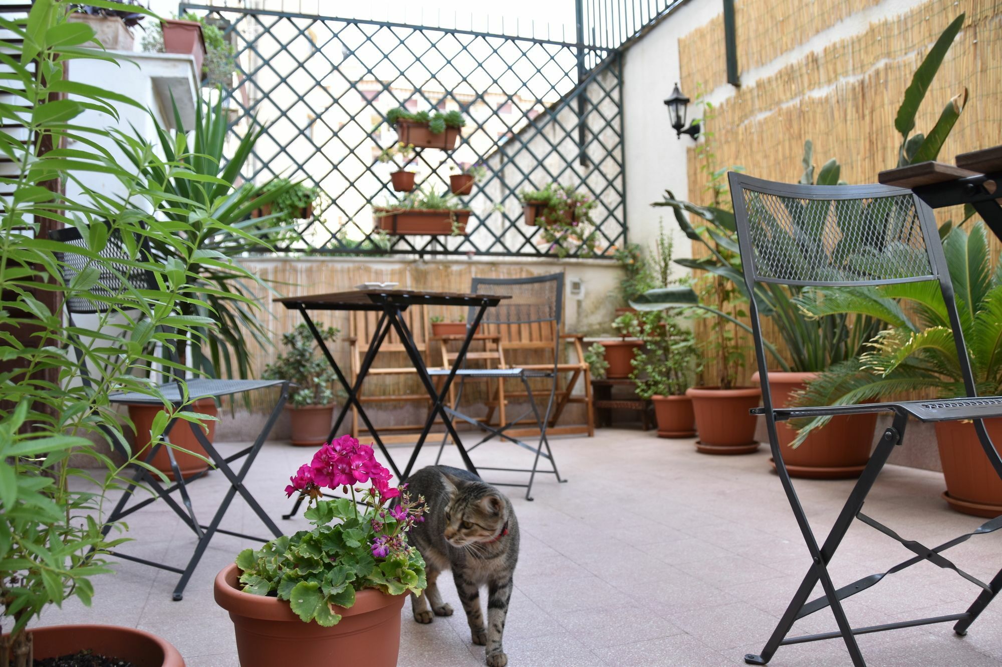Il Lapino Palermo