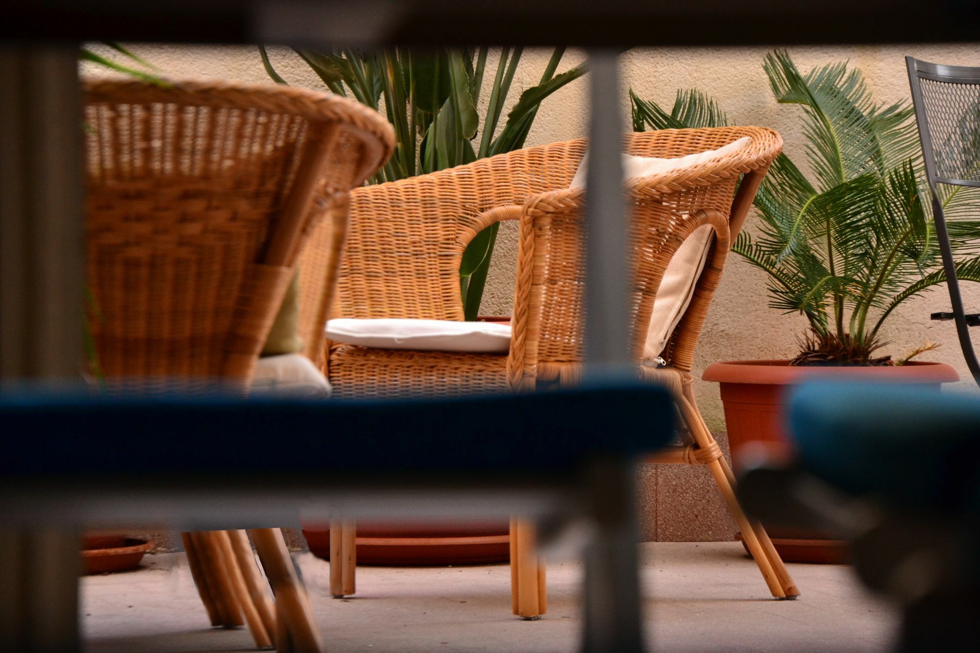 Guest house Il Lapino 3*