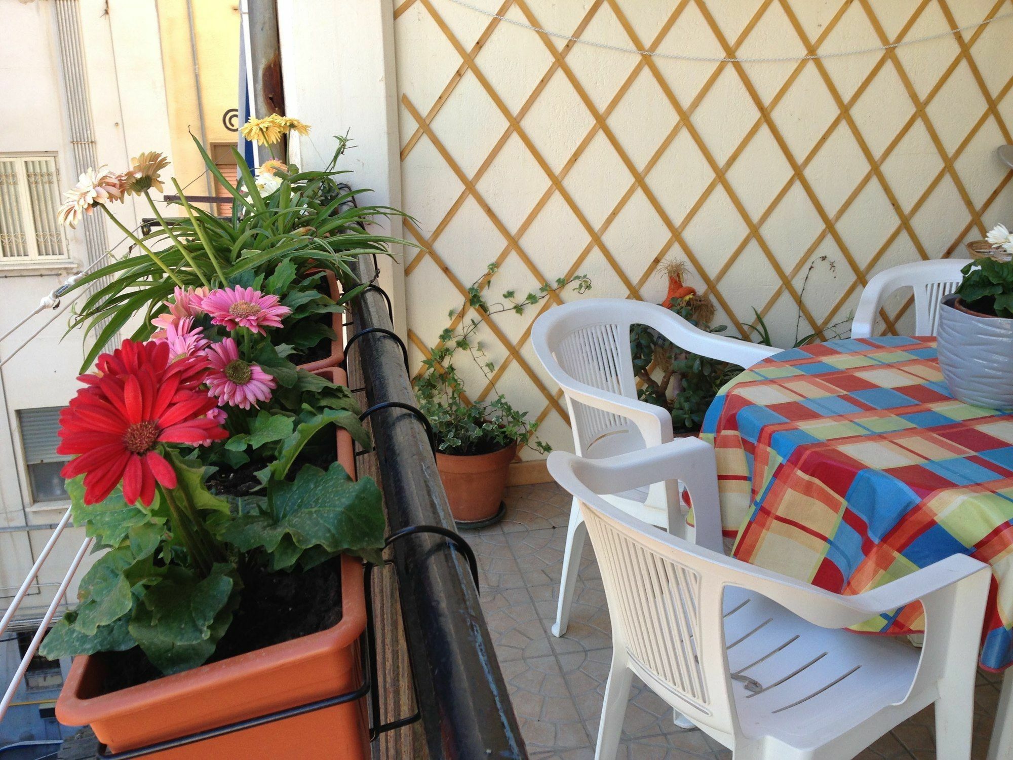 Soleluna Della Solidarieta Bed & Breakfast Palermo