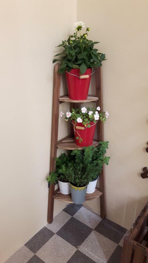 Apartment Duchi Palermo