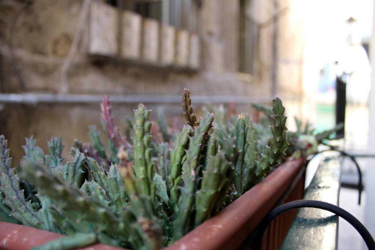 Camerini Di Santa Cecilia Holiday home Palermo