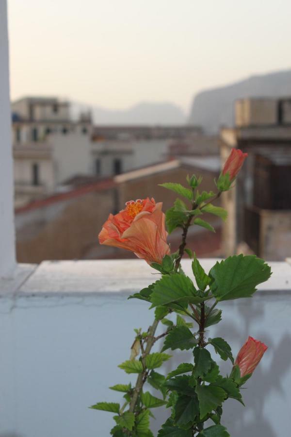 Dimore De La Rosa * Palermo
