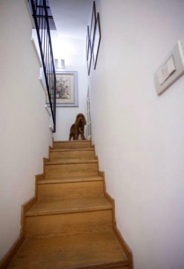 Apartment Alba Palermo
