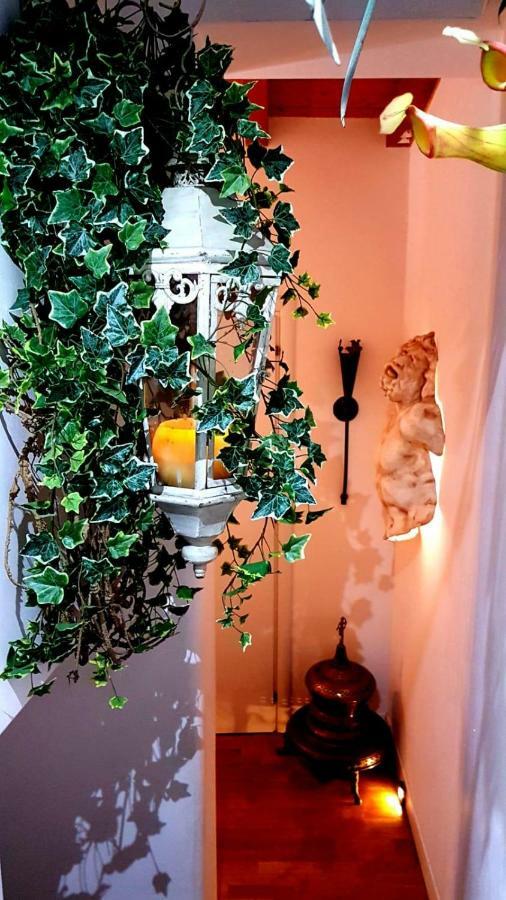 Apartamento Casa Kalos *