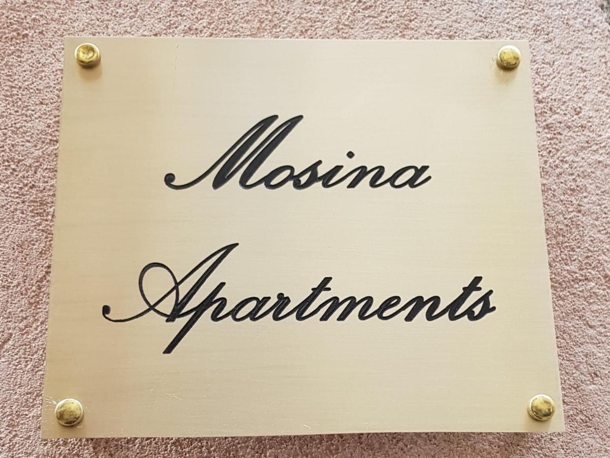 Mosina Apartment