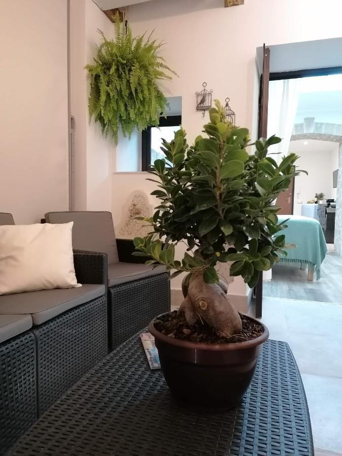 Apartment Mastrangelo & Palermo